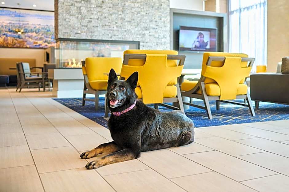 Residence Inn by Marriott Berkeley