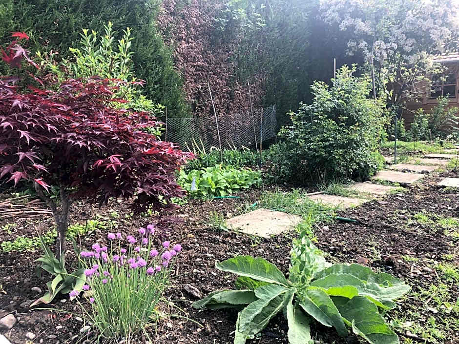 Les Tilleuls Montbeliard Sud Audincourt