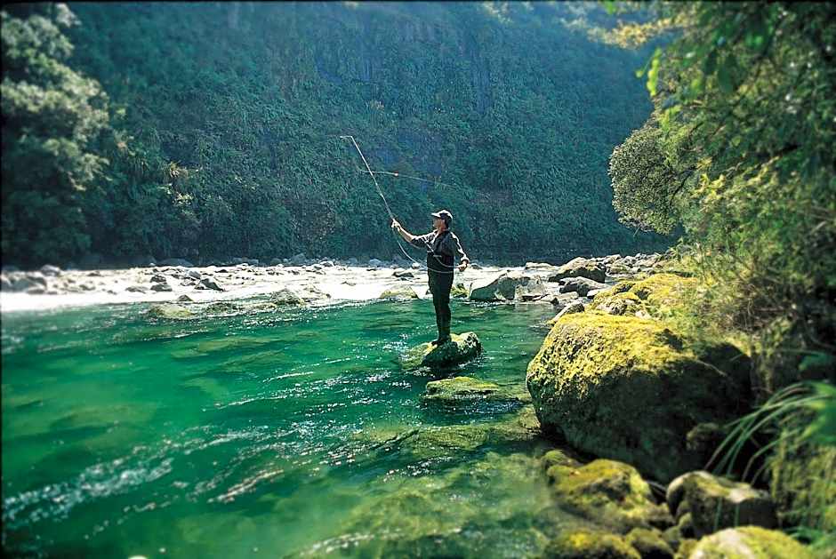 Treetops Lodge & Estate