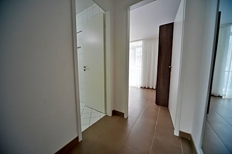 Deluxe One-Bedroom Apartment