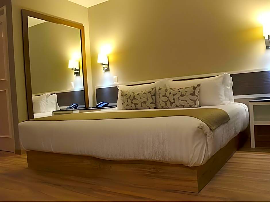 Hotel Plaza Revolucion