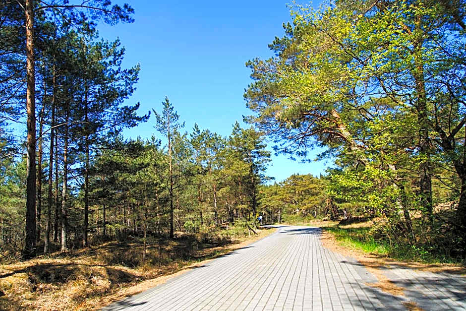 Domki Letniskowe Zygmunt