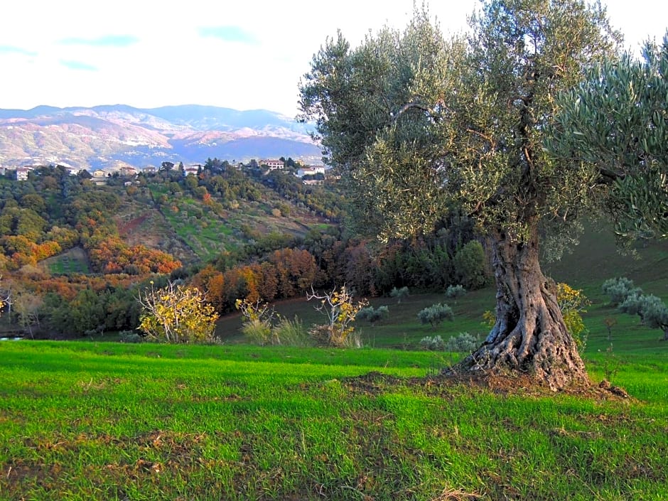 La dimora di Radha B&B Centro Olistico