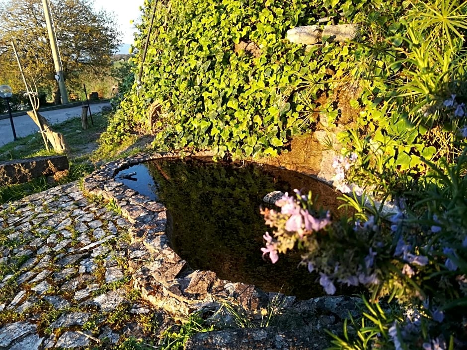 bed and coffee Sas Damas