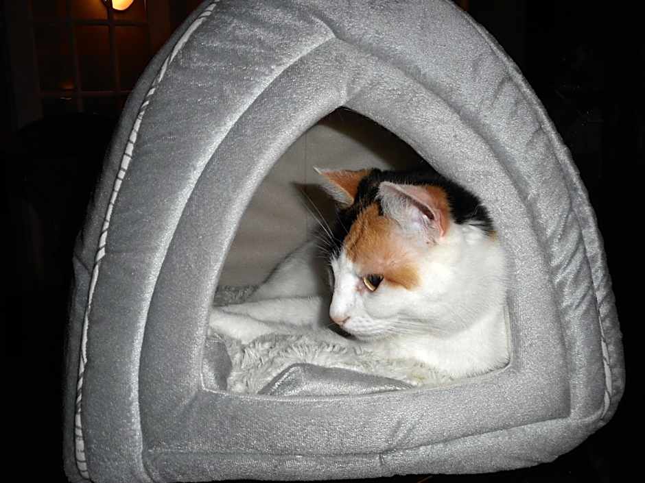 Côté's Bed & Breakfast