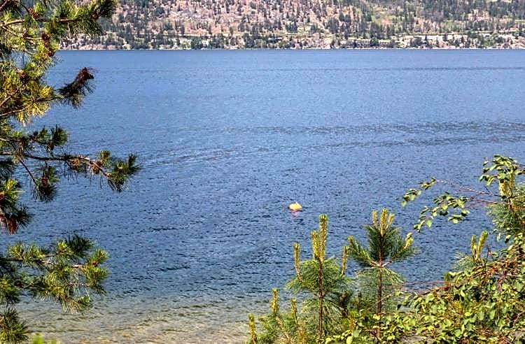 The Blue House Bed and Breakfast