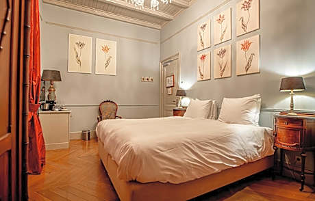 Deluxe Double or Twin Room with River View