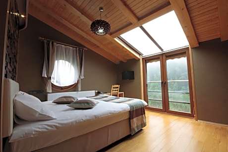 VIP Double Room with Mountain View