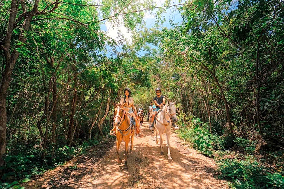 Energy Tulum Holistic Ranch