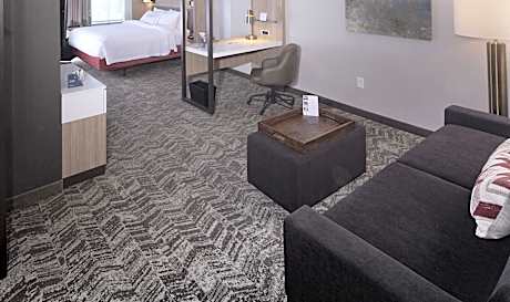 Suite, 1 King Bed with Sofa bed (1 King Bed and 1 Double Sofa Bed)