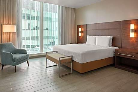1 Bedroom Suite, 1 King