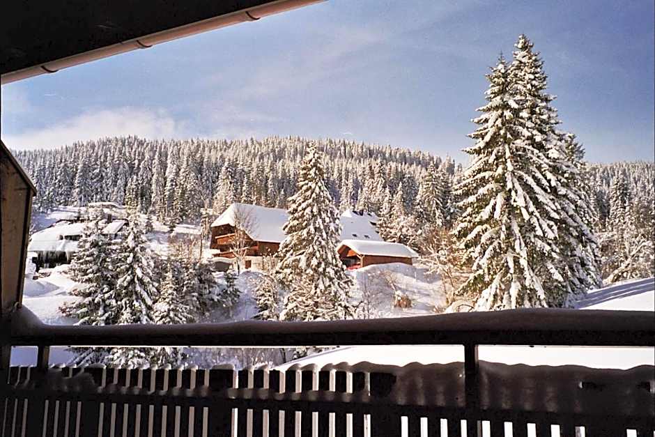Schwarzwald-Hotel Kraeutle