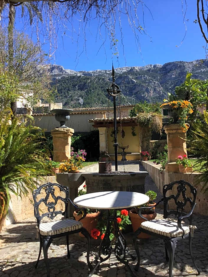 The Salvia - Adults Only