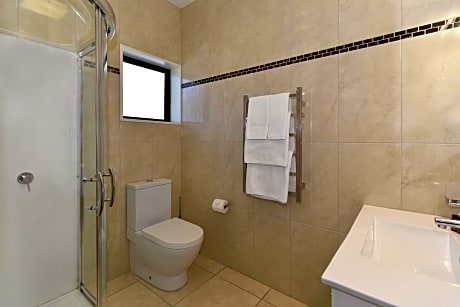 Executive Shower Studio (3 pax) (1 King Bed and 1 Twin Bed)