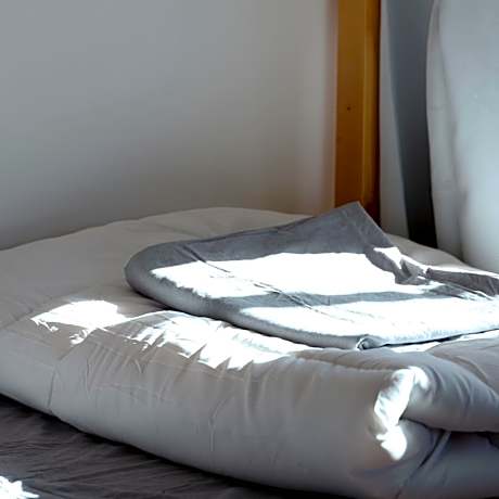 Bed in 4-Bed Mixed Dormitory Room