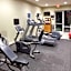 Hilton Garden Inn Mcallen