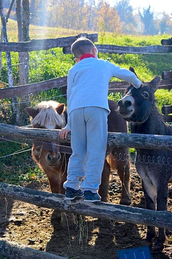 Tenuta i musi lunghi