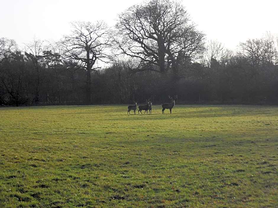 The Stables - Deer Park Farm