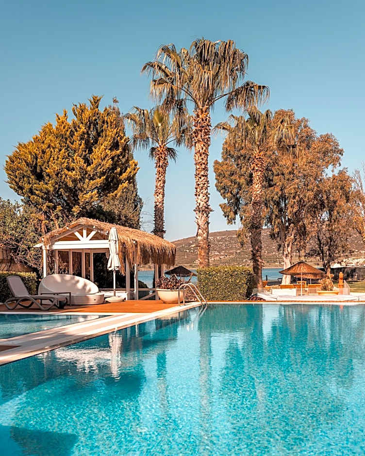 Antmare Hotel
