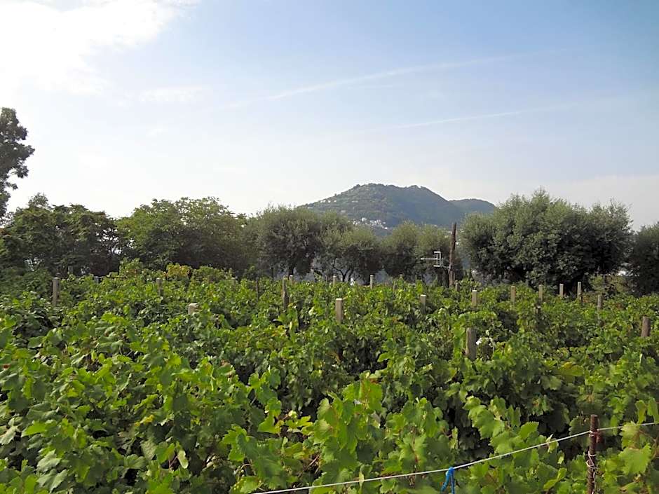 Albergo Il Monastero