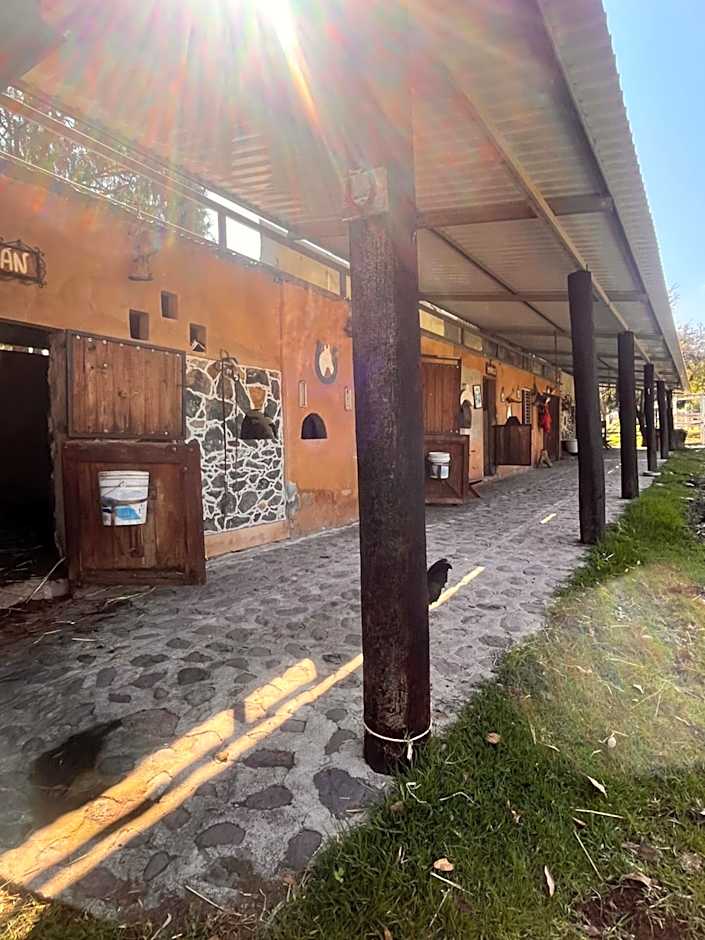 Cabañas Cumbres de Aguacatitla