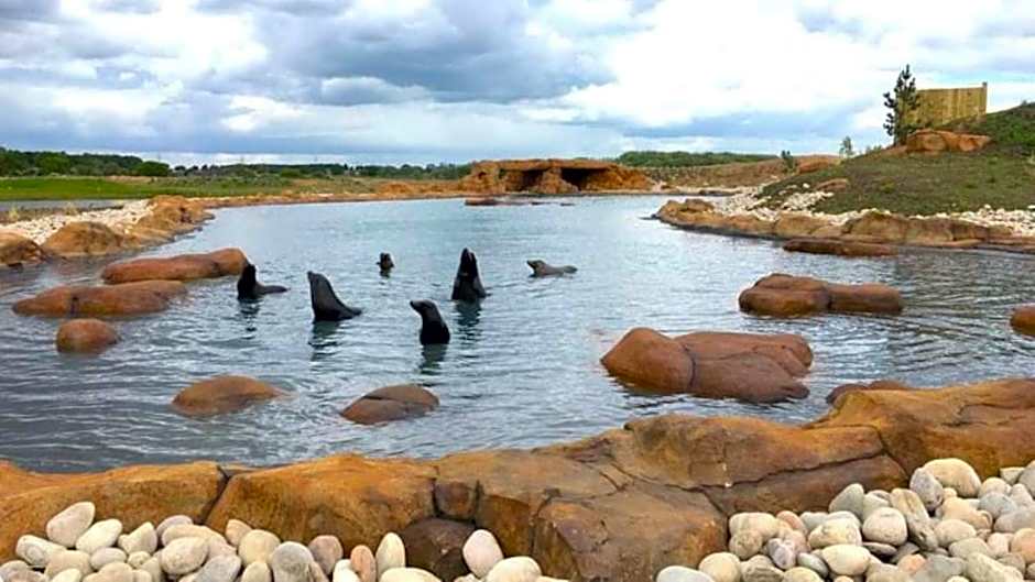 Hex Wildlife Hotel at Yorkshire Wildlife Park