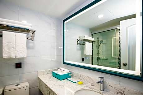 Deluxe Business Twin Room
