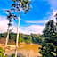 Taman Negara River View Lodge