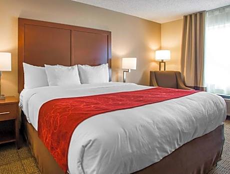 Standard with 1 King Bed