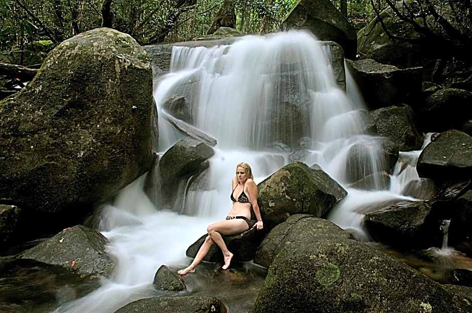 Daintree Cascades