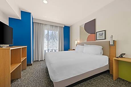 1 King Suite