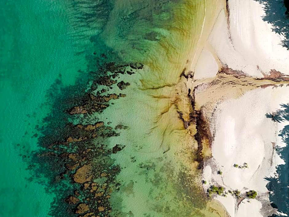 mist at Cape Tribulation