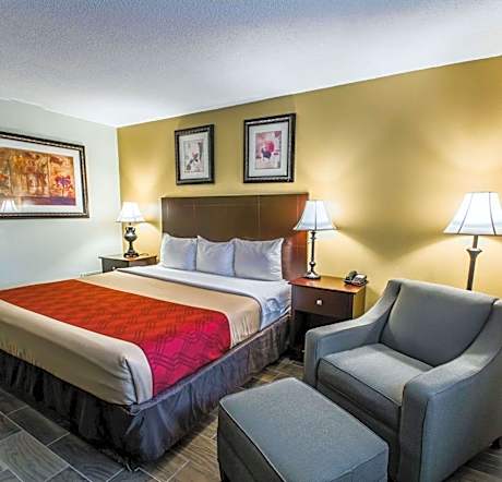 1 King Bed, Nonsmoking, Accessible