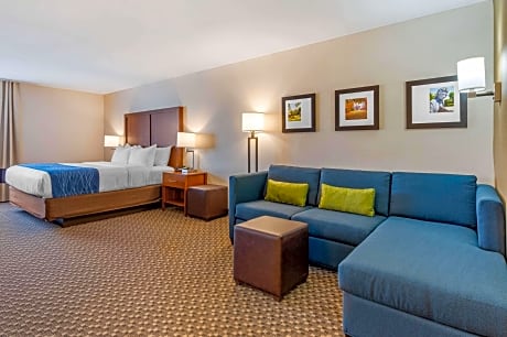 1 King Bed, Suite, Nonsmoking