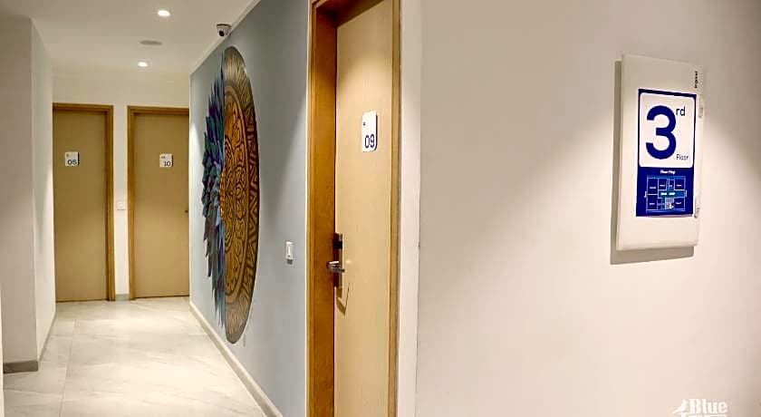 The Blue Jay Hostel - Dorms & Rooms Hotel