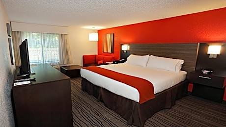 1 King Bed Standard