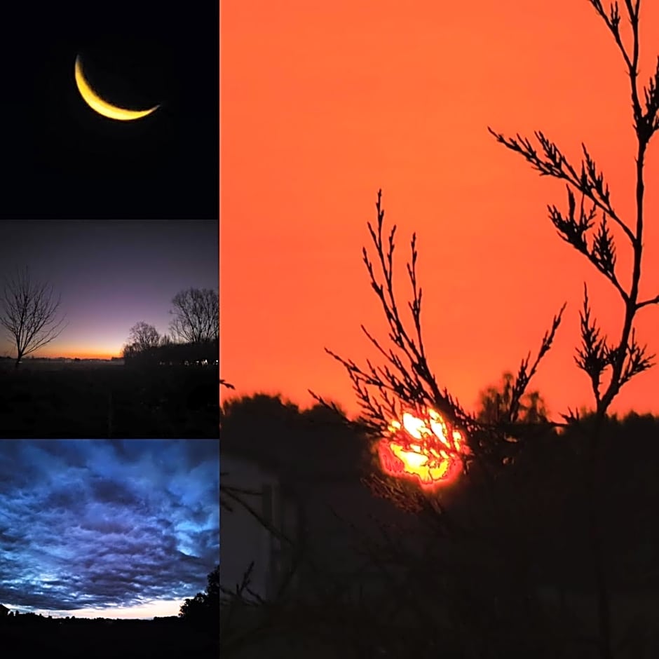 Agriturismo Honey Farm