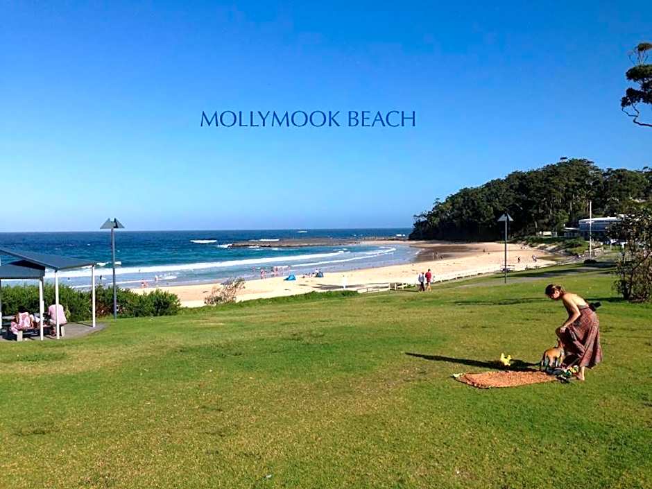 Beachhouse Mollymook