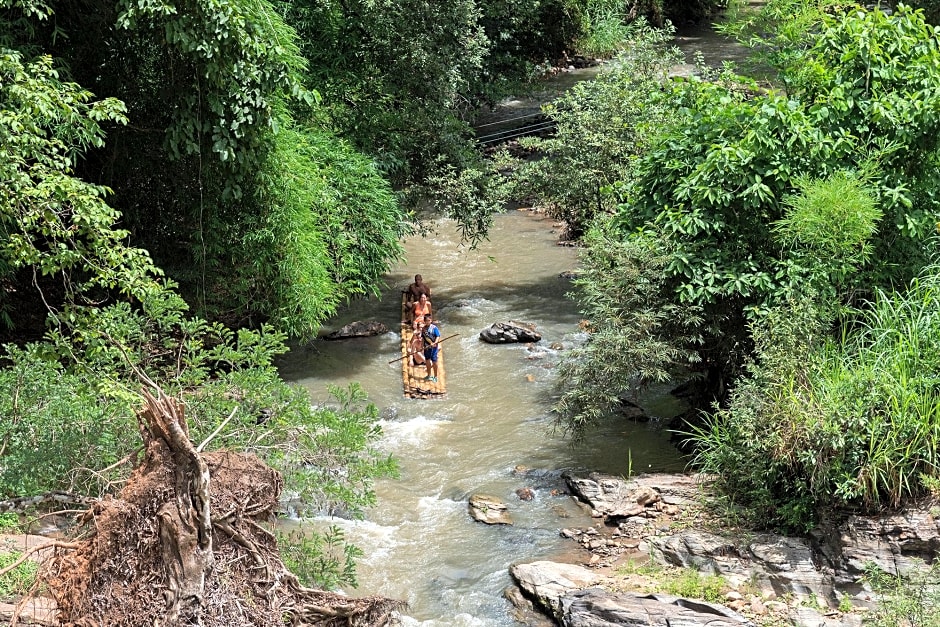 Chiang Mai Elephant Friends