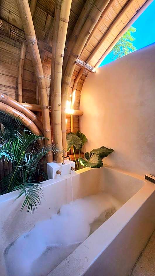 Tipsea Turtle Gili Air