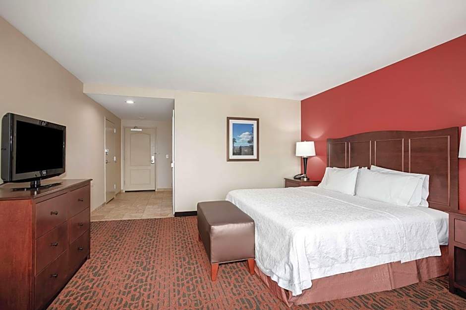 Hampton Inn By Hilton And Suites Denver/South-Ridgegate, Co