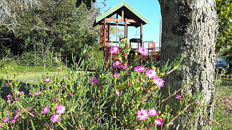 Teniqua Treetops
