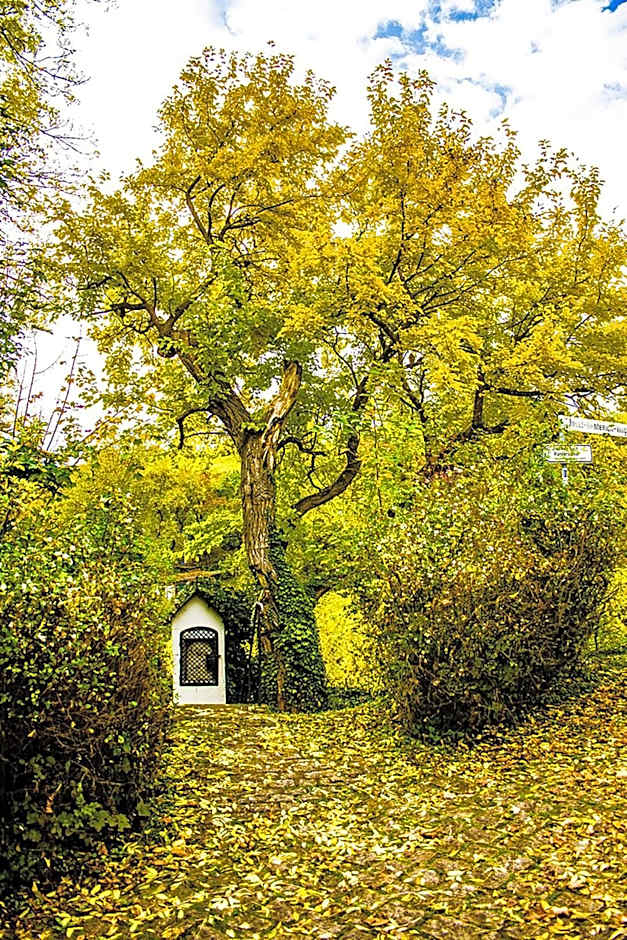 Brunnenhof Randersacker - das kleine Hotel