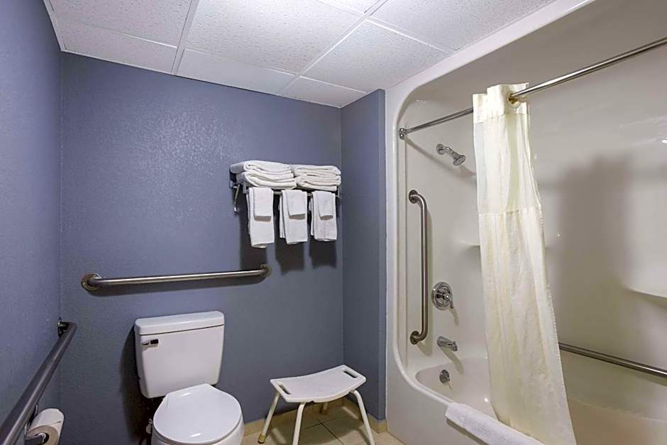 Quality Inn & Suites Big Rapids near University