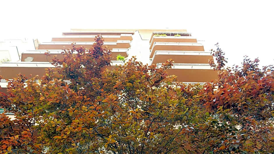 B&B La Perla di Roma