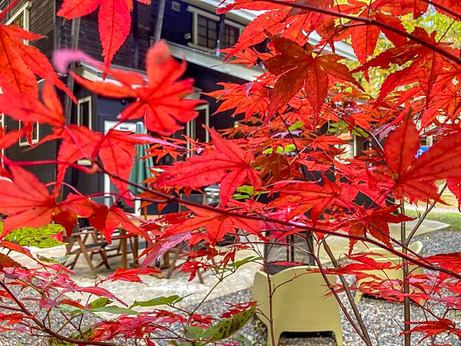 Mojo Lodge Hakuba