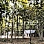 Vineyard Woods