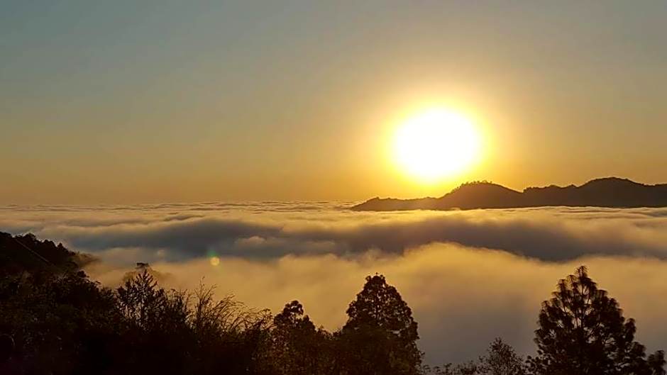 Hotel Plaza San Carlos