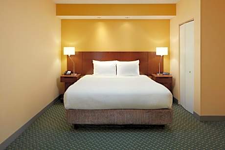 One-Bedroom King Suite with Sofa Bed