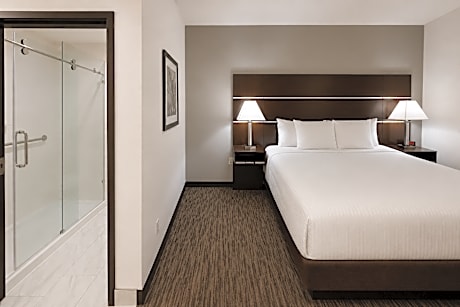 Business Suite - Airport Transfer Included
